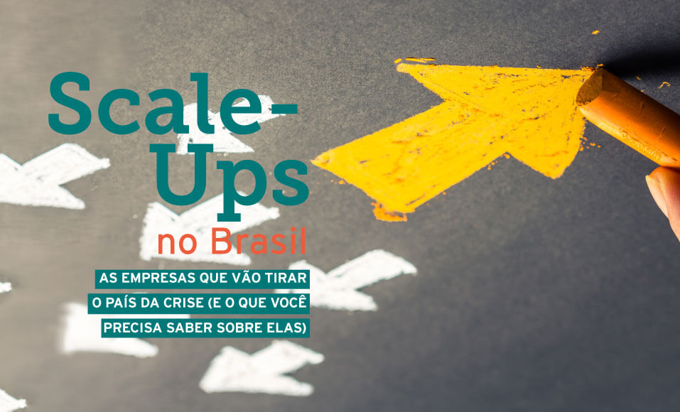 Scale Ups 8 Coisas Que Você Não Sabia Endeavor Brasil