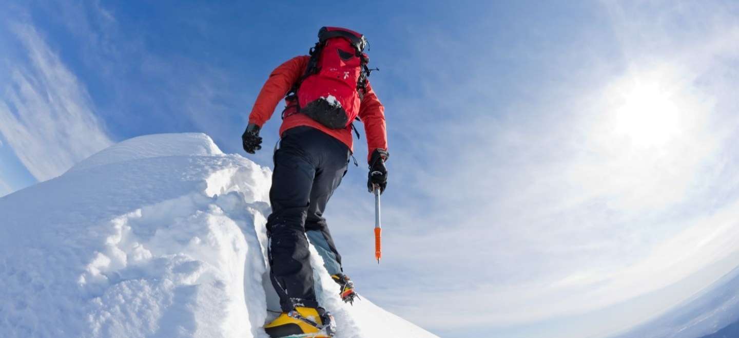 alta performance
