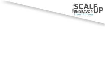 Apoio Programa Scale-Up Transforma